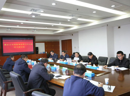 公司黨組理論學習中心組專題學習研討習近平文化思想