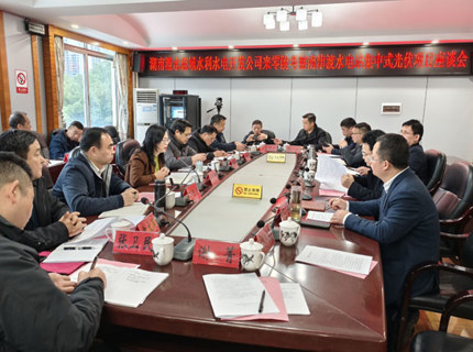 陳印輝帶隊到零陵區(qū)考察南津渡光伏項目