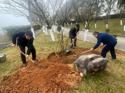 徐磊到皂市電站參加義務植樹活動