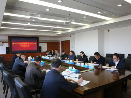 公司黨組理論學(xué)習(xí)中心組學(xué)習(xí)貫徹全國(guó)“兩會(huì)”精神