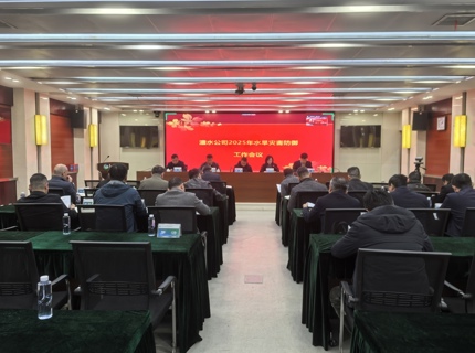 公司召開2025年水旱災害防御工作會議