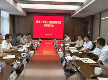 公司領(lǐng)導(dǎo)帶隊(duì)赴湖南省電力科學(xué)研究院開(kāi)展電力調(diào)頻輔助服務(wù)調(diào)研